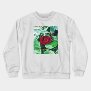 Red Rose Crewneck Sweatshirt